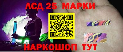 индика Бердск