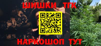 индика Бердск