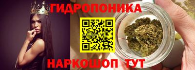 индика Бердск