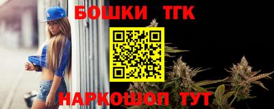 индика Бердск